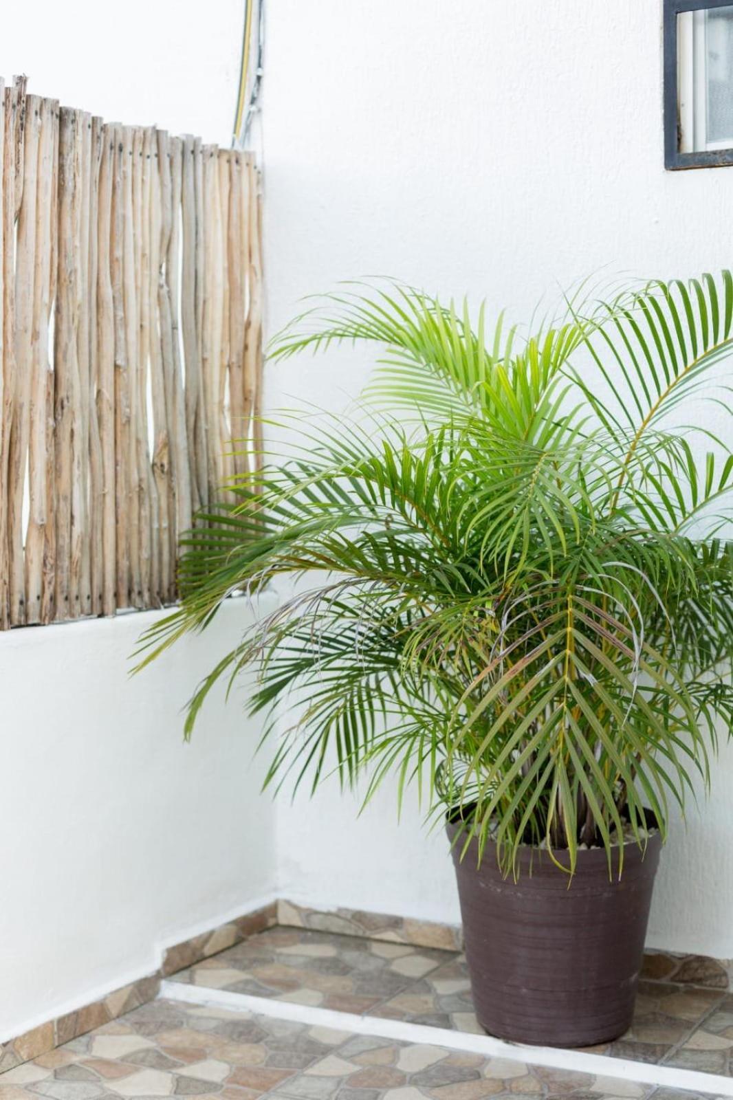 M&z Loft La Terraza * Cancun
